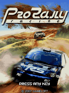 Pro Rally Racing